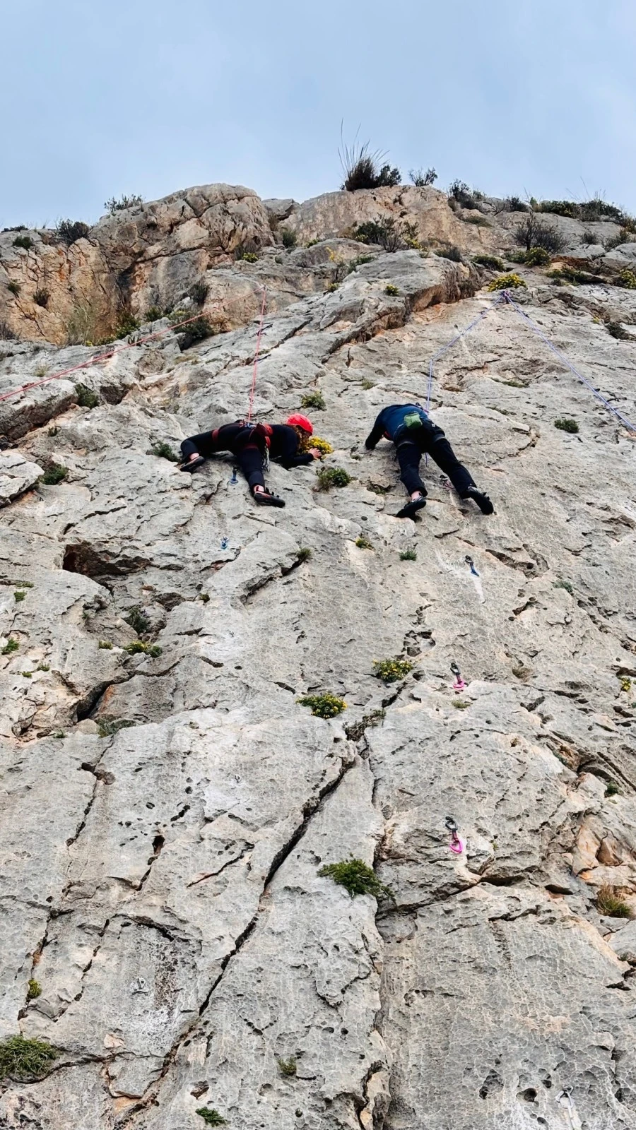 Zdjęcie 955 z kursu. Fot.  Katarzyna Pipir