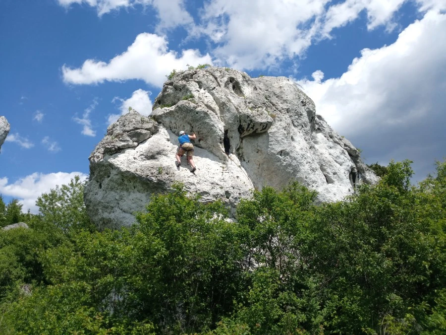 Zdjęcie 924 z kursu. Fot. Jacek Paweł Czech
