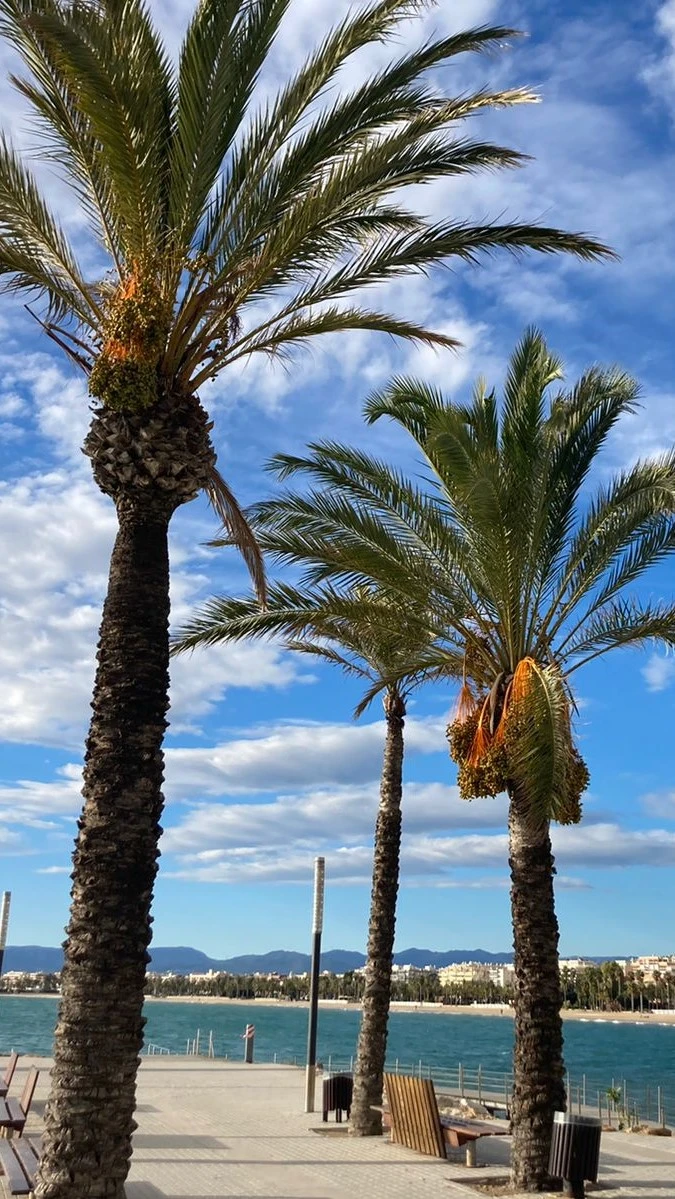 Zdjęcie 497 z kursu. Fot. Michał Makowski