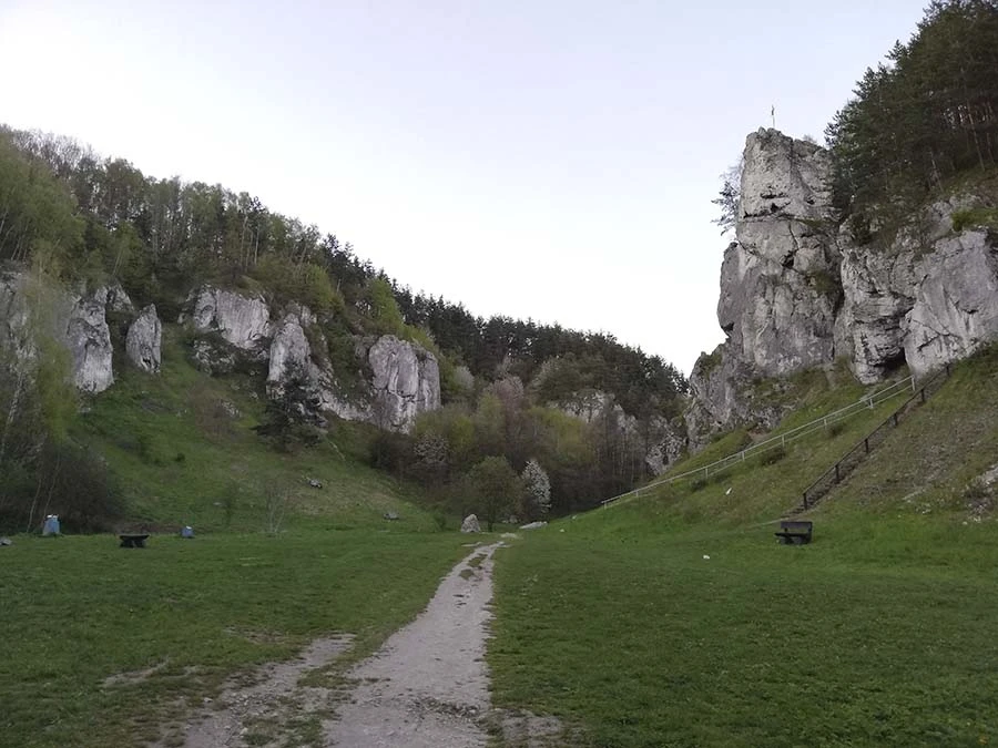 Zdjęcie 157 z kursu. Fot. Radosław Rola